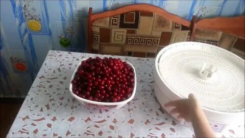 Вишня в электросушилке