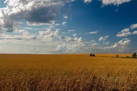 В поле поставлен 0