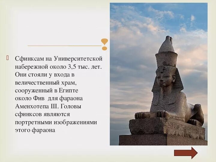 Сфинкс бийск. Сфинкс бийск