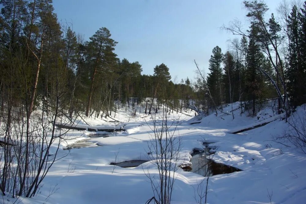 Юганский заповедник климат. Юганский заповедник зимой. Природа Угут. Погода в угуте сургутского