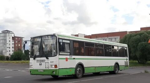 Маршрут 236 автобуса спб