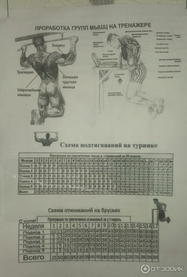 Уровни подтягиваний. Подтягивания схема тренировок. Схема тренировок на турнике для увеличения количества подтягиваний. Программа тренировок на турнике 3 в 1. Турник брусья пресс 3 в 1 программа тренировок.