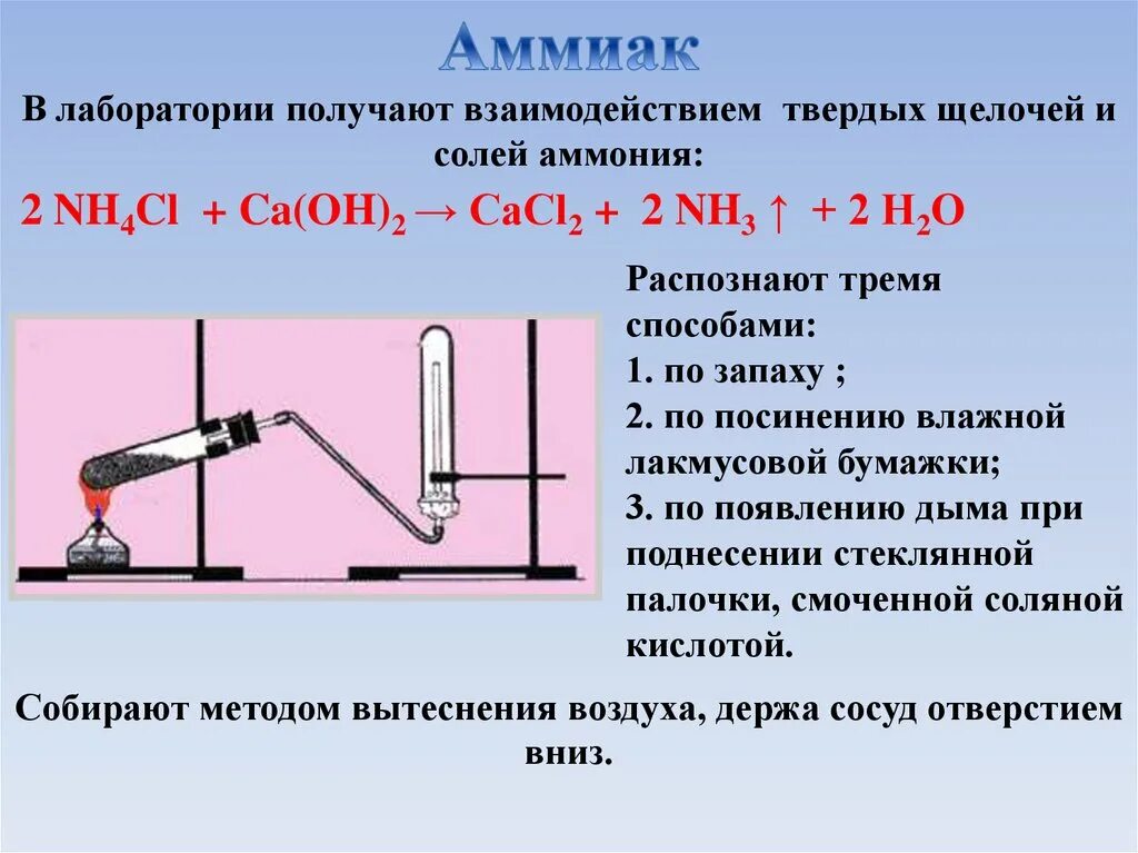 Аммиак и оксид меди 2 реакция. Распознавание аммиака уравнение реакции. Лабораторный способ получения аммиака. Аммиак методом вытеснения воздуха. Получение аммиака в лаборатории.