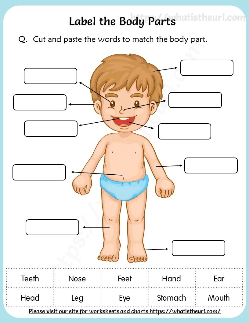 Части тела Worksheets. Части тела задания для детей. Части тела человека для детей. Части тела человека для детей задания для дошкольников. Use the words to label the