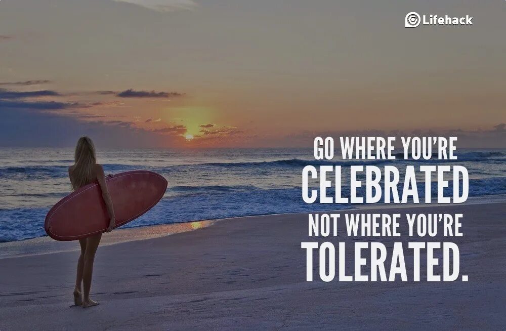 Where you go in the evening. Go where you celebrated. go where you&#039;re celebrated. фразы celebrating. don&#039;t stay where you are tolerated ,go where you are celebrated ..
