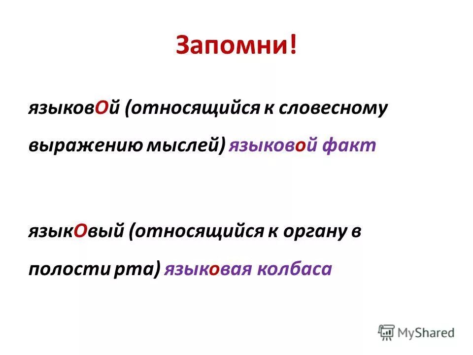 Объясните значение слов с разным ударением