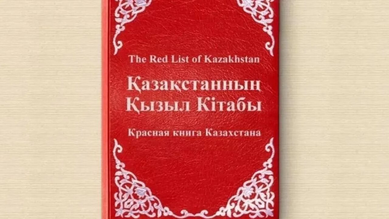 Қызыл ала. Красная книга Казахстана. Красная книга Казахстана книга. Красная книга Казахстана обложка. Картинка красная книга Казахстана.