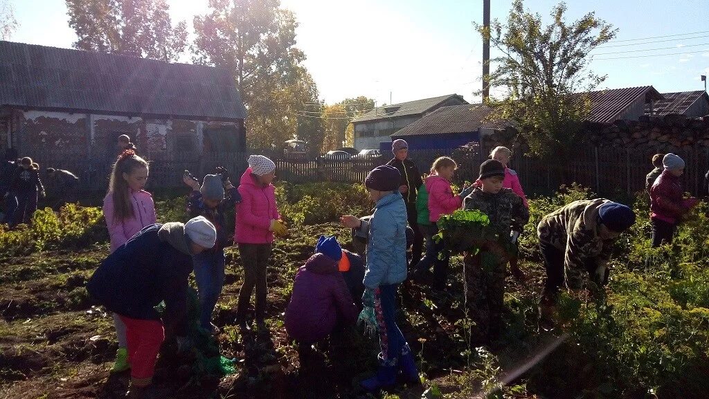 Погода александровка на 10 дней самарской области. Село Александровка Братский район Иркутская область. МКОУ Александровская СОШ. Александровская СОШ Братский район. Александровка Братский район школа.