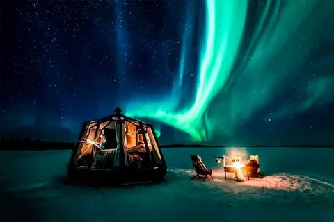 Only arctic