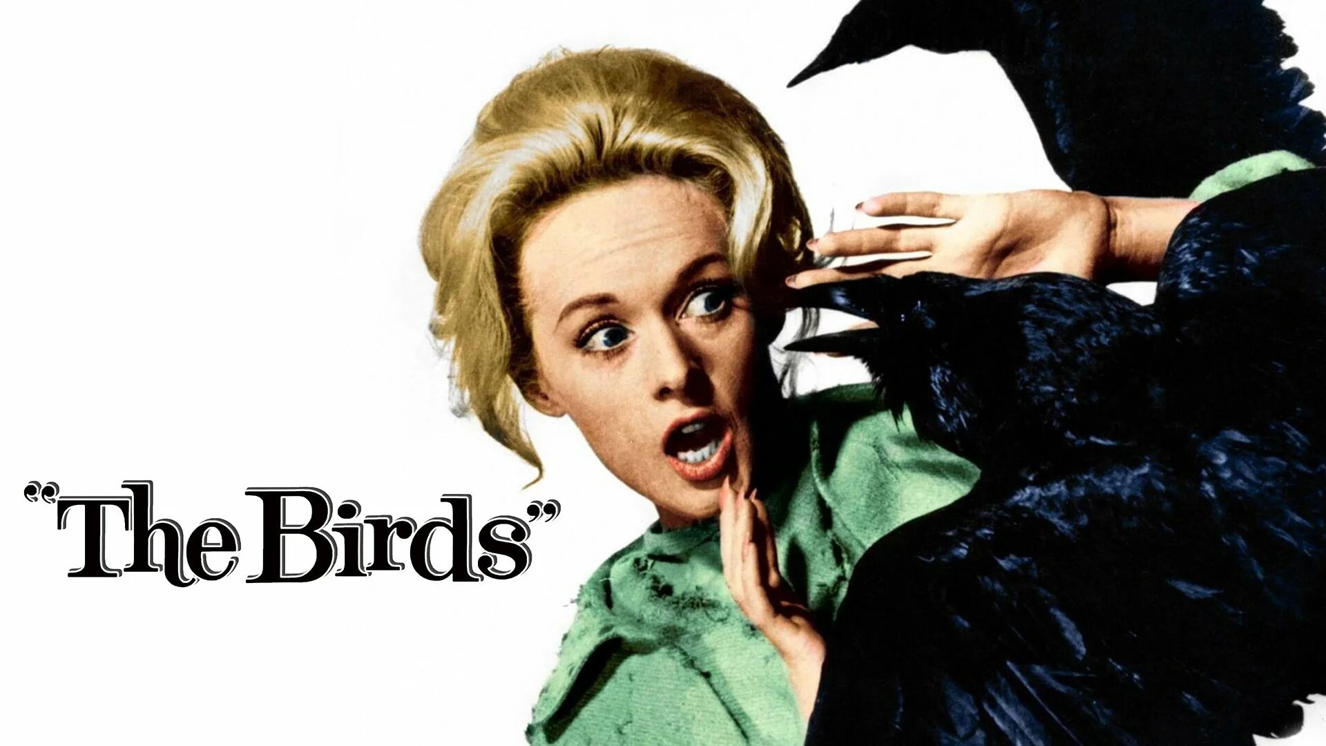 The birds part 1