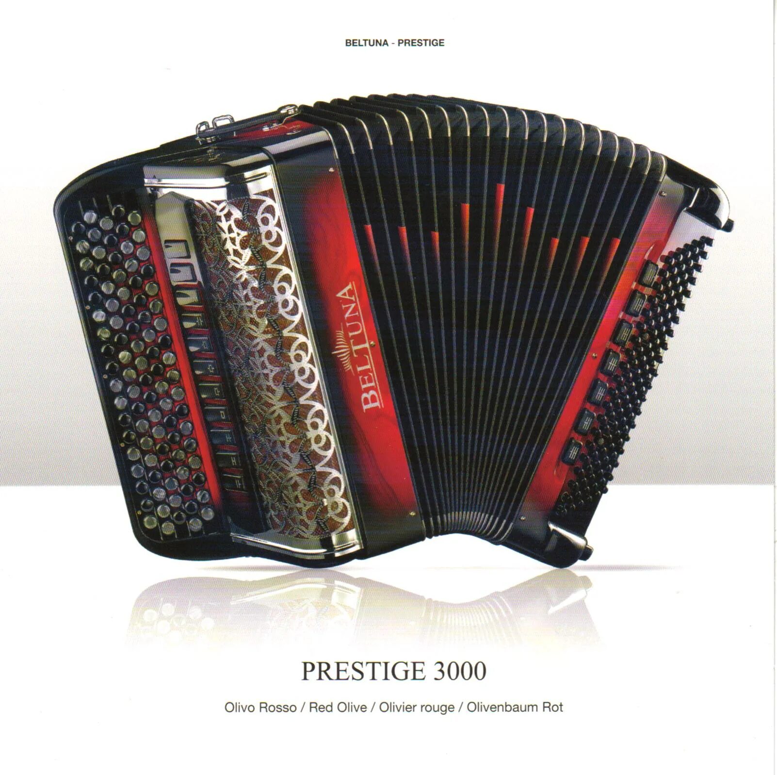 Аккордеон в джазе. Ирландская концертина. Валерман на аккордеоне. Аккордеон франция. Французский аккордеон.