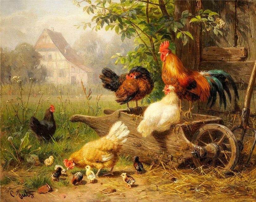 Картины с курами