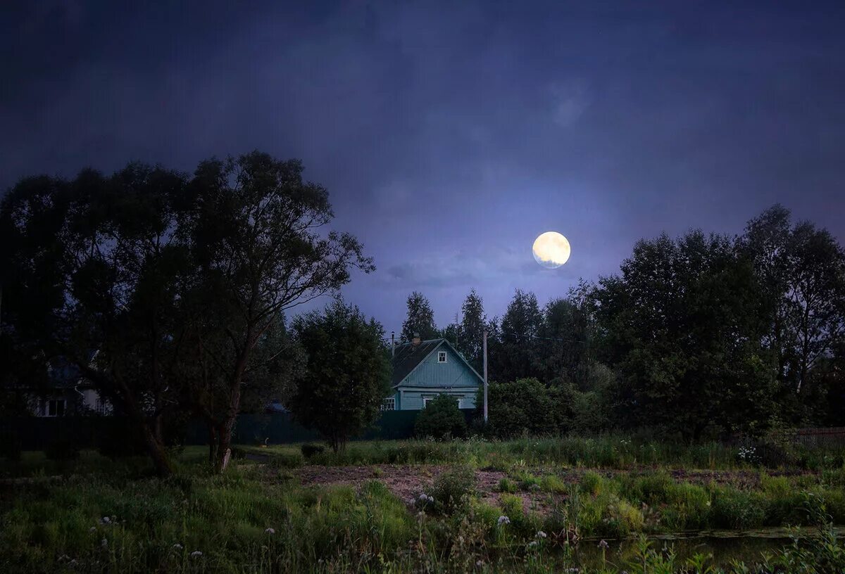Тихий вечер вечер сине. Ночь в деревне. Дерево ночью. Лунная ночь в деревне. Ночная деревня.