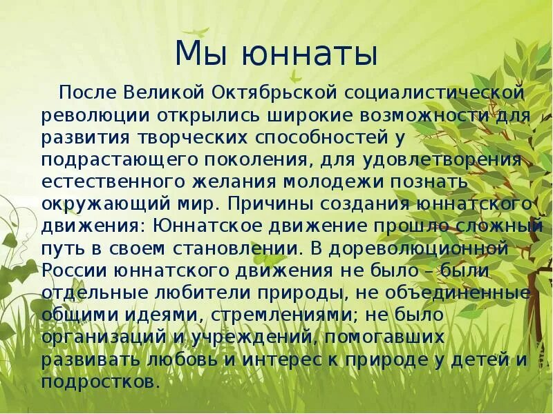Сколько юннатов координаторов в движении первых. Презентация для детей юннаты. день юннатов презентация. цель и задачи занятия о лесе. правила юннатов.