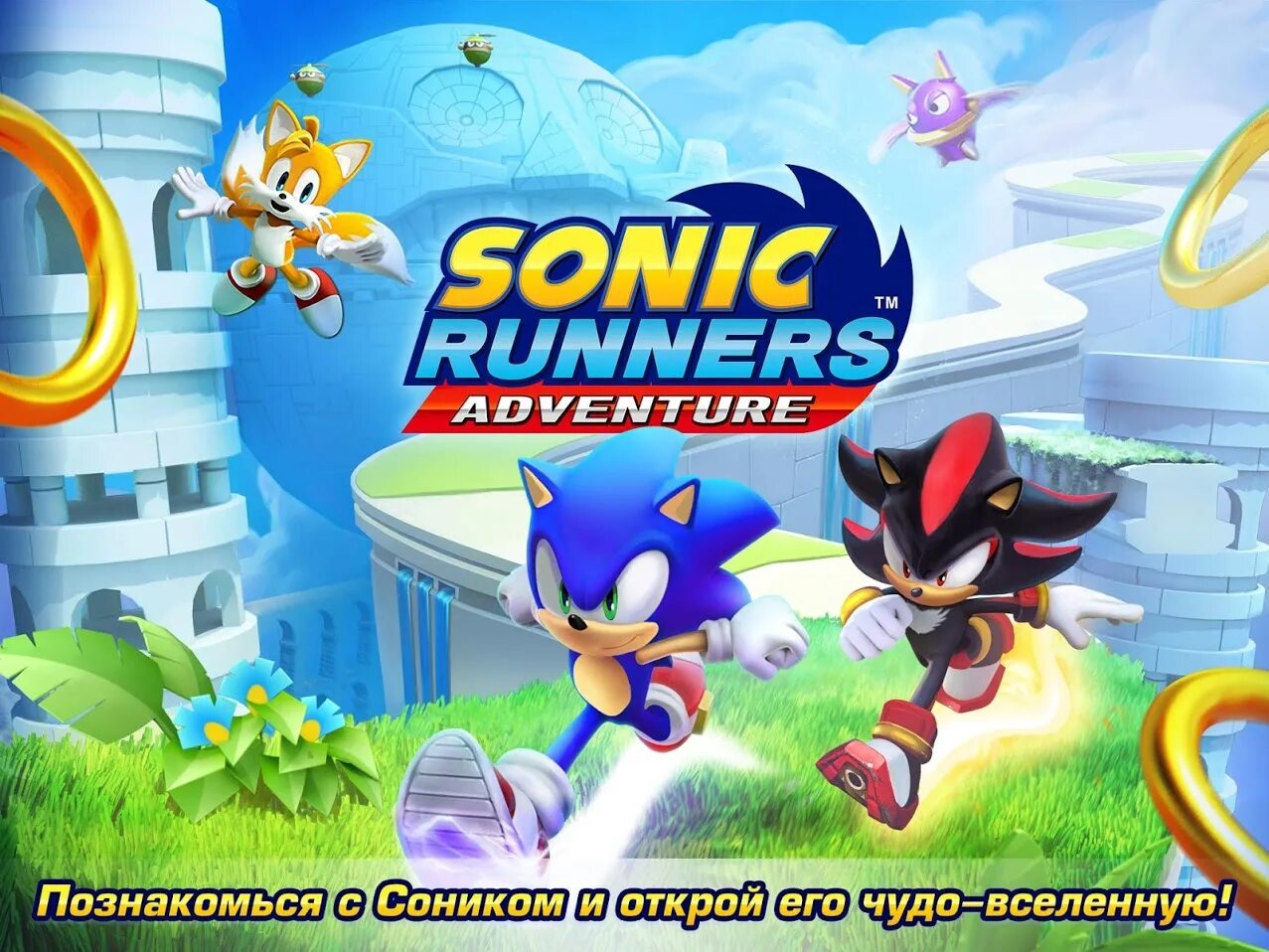 Соник адвенчер андроид. Игра Sonic Runners. Соник бежит игра. Игра Sonic Runners Adventure Sonic.
