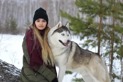 Хаски поляна