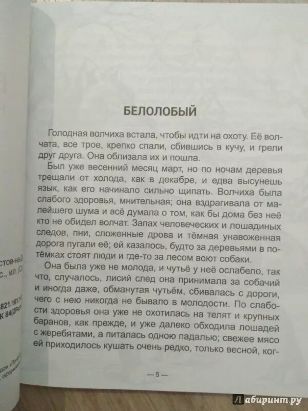 Рассказ белолобый Чехов. Биолобы рассказ Чехова. А.П.Чехов белолобый содержание. А.П.Чехов белолобый текст.