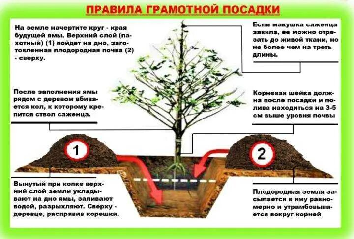 В каких случаях землю можно