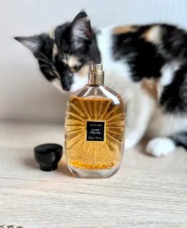 Des ors lune feline