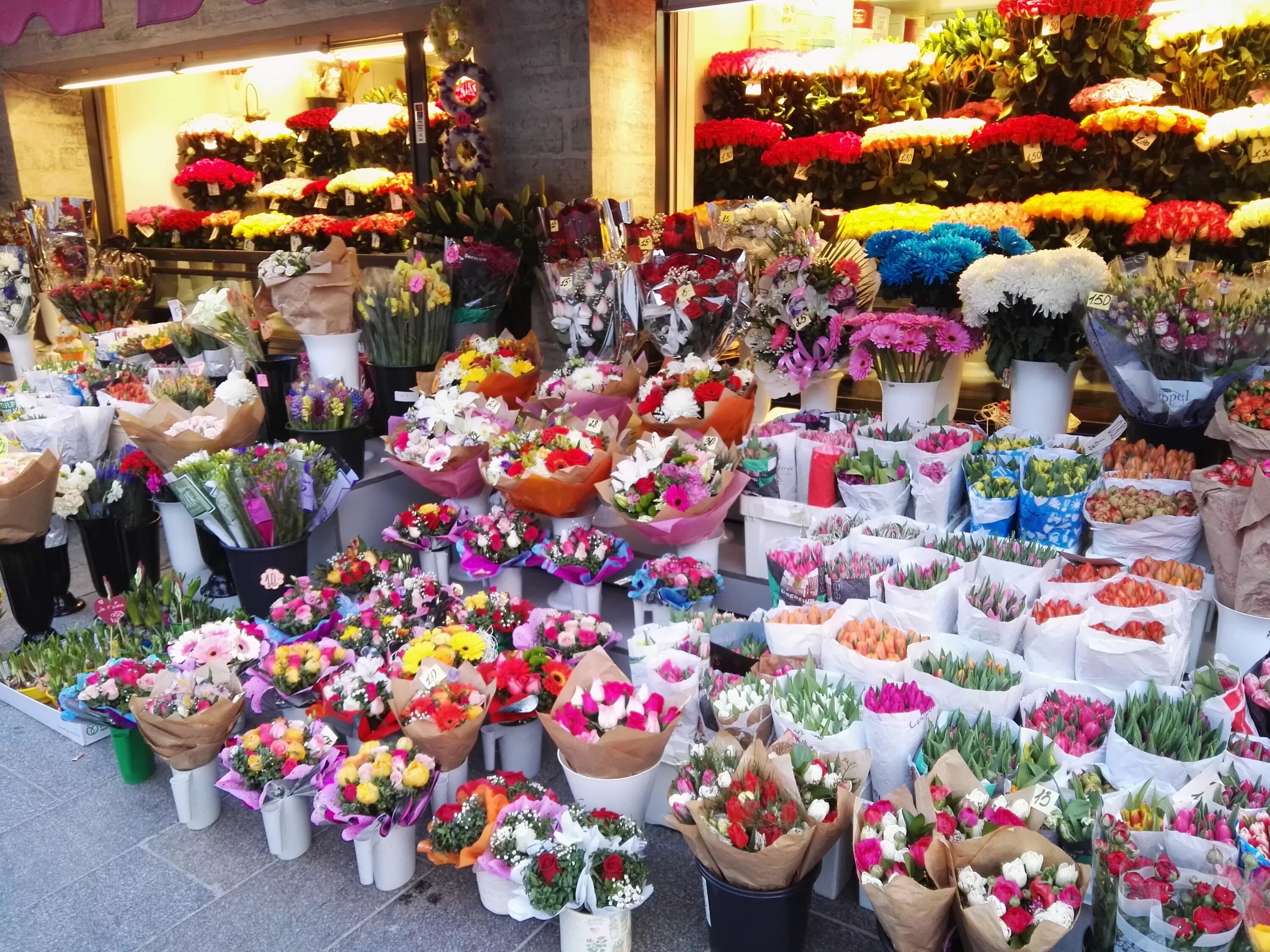 Рижский рынок цены на цветы 2024. Цветочная база метро Рижская. Цветочный рынок Рижская метро Рижская. Рижская метро цветы рынок. Цветочный рынок.