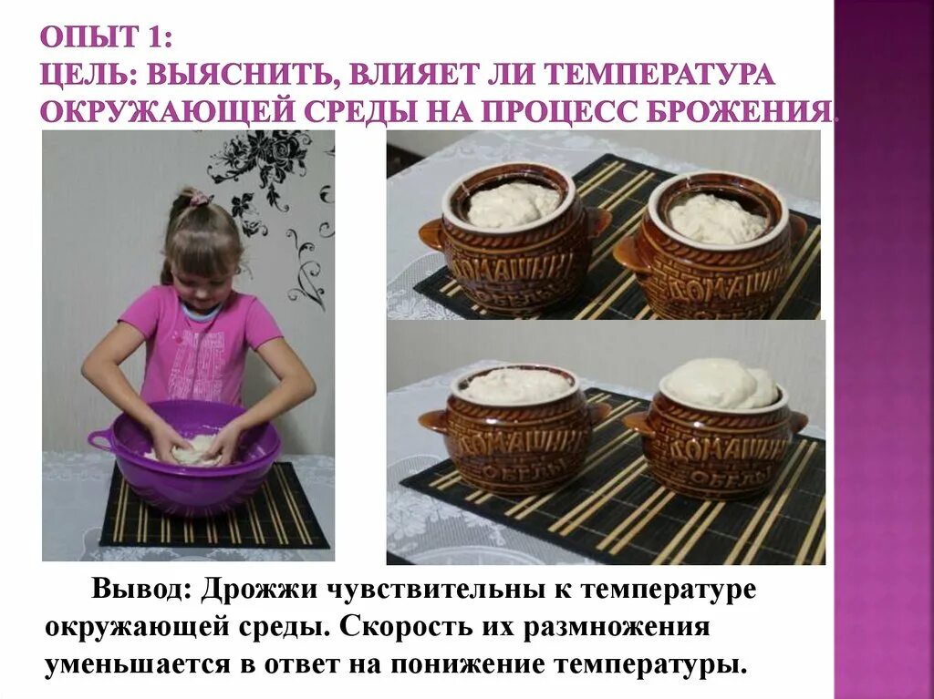Мальчик решил узнать как влияет температура. Влияние температуры на процесс брожения. влияние температуры на процесс брожения теста. процесс брожения эксперимент. температура в процесс брожения..