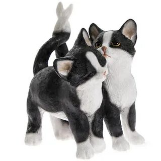 Купите 8 кота