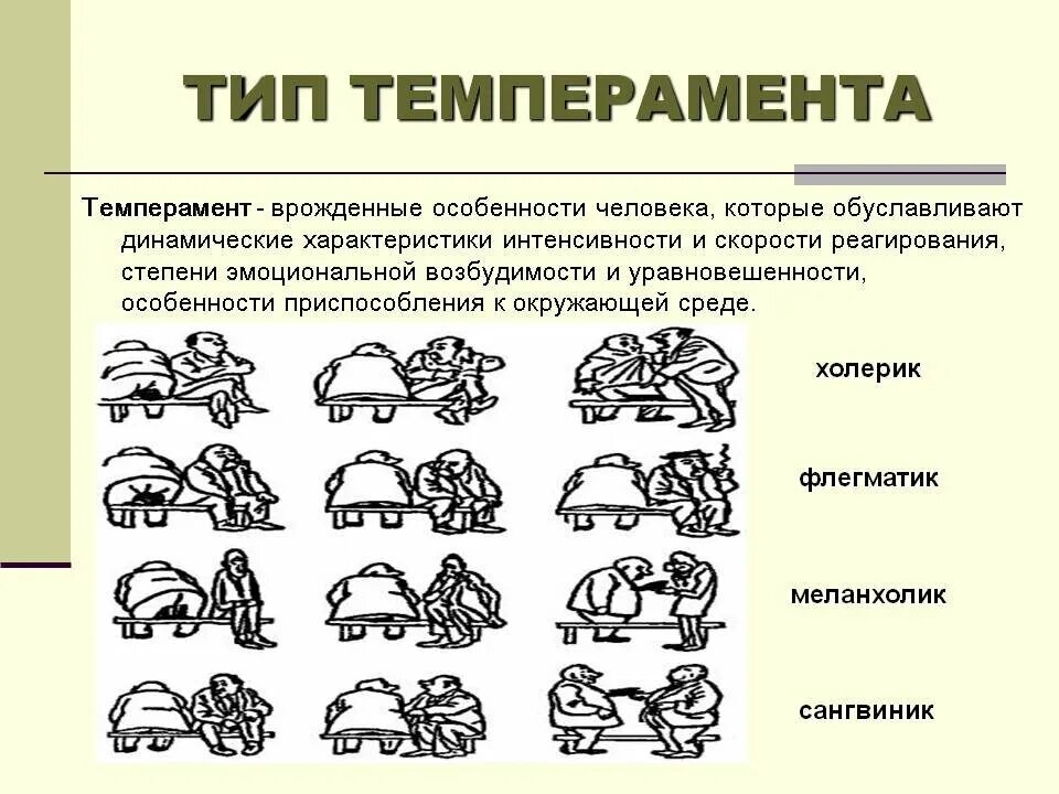 Типы темперамента и их характеристика кратко. Виды темперамента. типы темперамента человека. виды темпа.