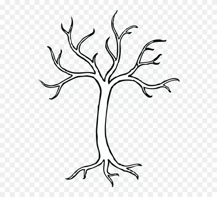 Empty branch