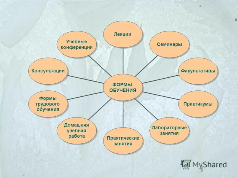 Формы трудового обучения. Факультативная форма обучения. Виды трудового обучения. Факультатив как форма обучения.