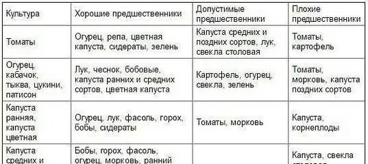 Что сажать после огурцов на следующий. Посадка овощей предшественники таблица. Хорошие и плохие предшественники овощных культур таблица. Лучшие предшественники для посадки овощей таблица.