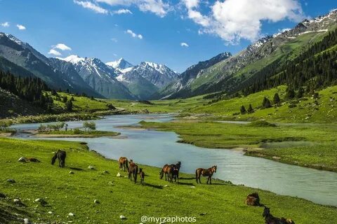 Балалармен жыныстық қатынасты онлайн көру