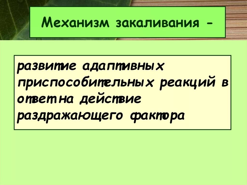 Физиологическая основа закаливания организма. Механизм закаливания. Механизм действия процедур закаливания. Физиологические механизмы закаливания. Физиологические основы закаливания.