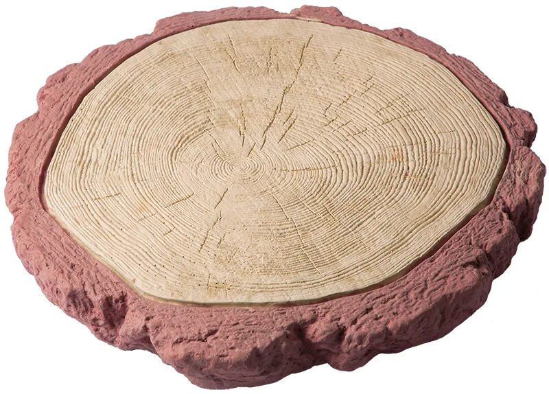 плитка срез. тротуарная спил д500. плитка срез дерева. тротуарная плитка срез. плитка срез.