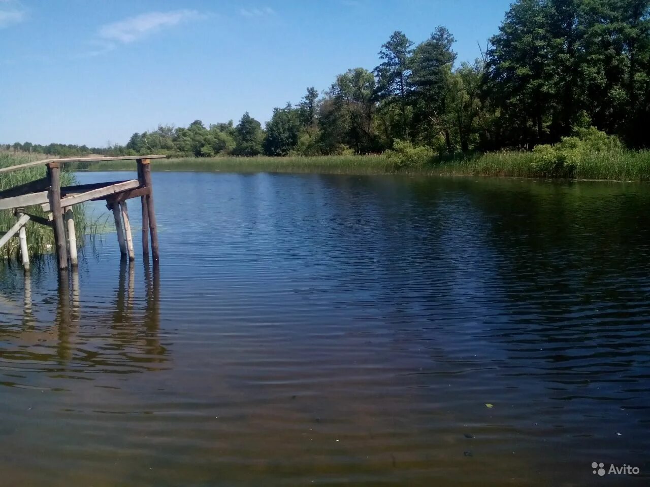 Погода в нижнем икорце. Село средний Икорец Воронежская область. Икорец река Воронежская. Река Нижний Икорец Воронежская. Средний Икорец речка.