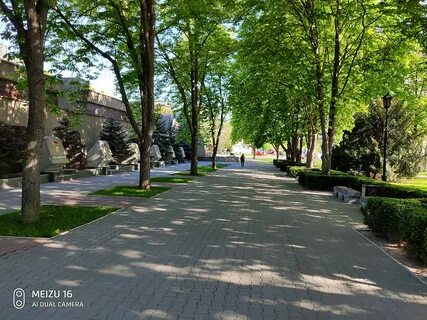 Аллея севастополь