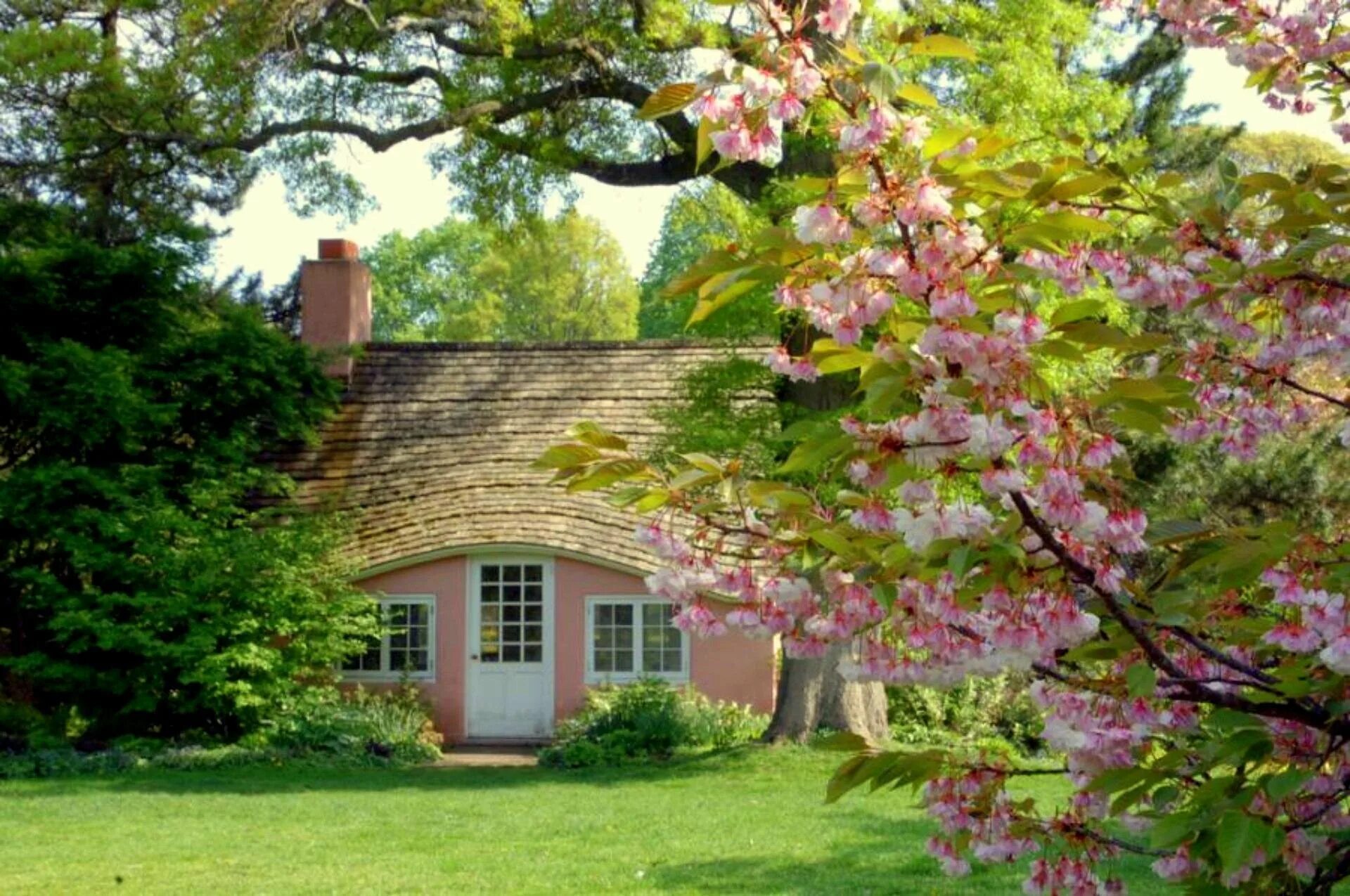 Вишнёвый сад на даче фото. Вишнёвый сад поместье. Домик с цветущим садом. Дома около сад дедушки