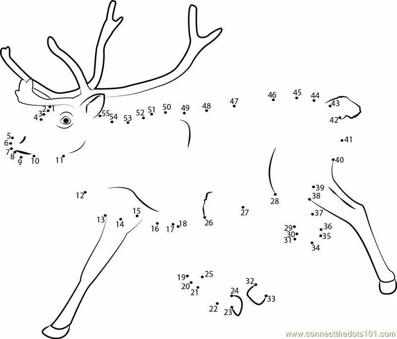 Точка обитатель. Животные по точкам. Рисунки по точкам. Рисование по цифрам олень. Олень по точкам для детей.