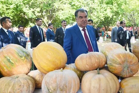 Погода шаартуз сегодня