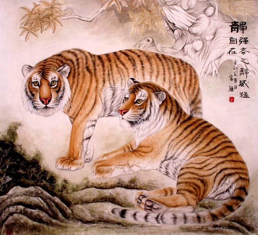 Южно-китайский тигр. Panthera tigris amoyensis. Южно-китайский тигр. Нгандонский тигр. Китайский tiger.