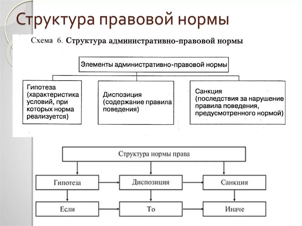 Структура административных правовых норм. Структура административно-правовой нормы КОАП. Нормы в составе организации