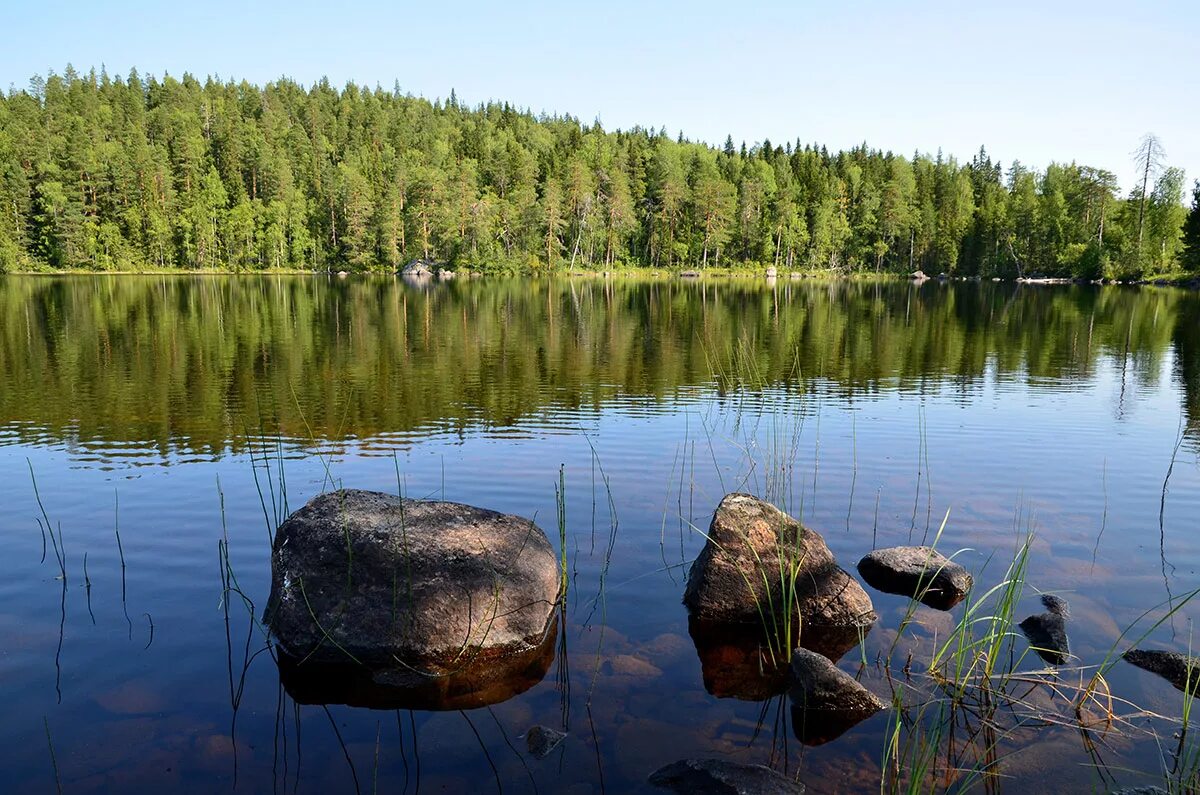 Шхеры вуоксы. Озеро топозеро. Моренные озера карелия. Количество озер в карелии. Количество озер в карелии.