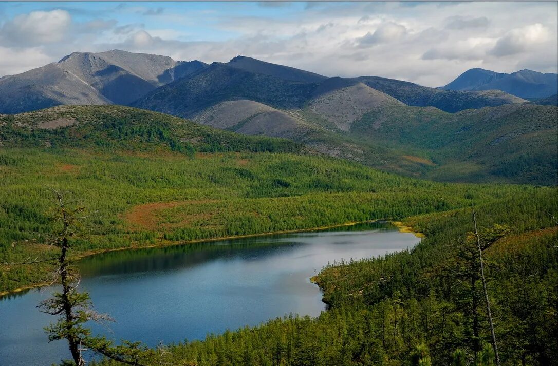 Командорский заповедник камчатский край. Природные комплексы дальнего востока. Озеро дальнее камчатка. Дальний восток комплексы. Дальний восток комплексы.