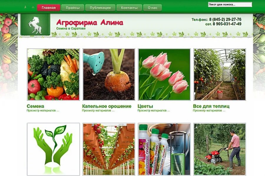 Интернет магазин профессиональных семян в розницу. Профессиональные упаковки семян. Интернет магазин профессиональных семян в розницу. Профессиональные семена овощей. Интернет магазин профессиональных семян в розницу.