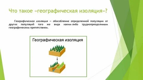 Географическая изоляция изменения