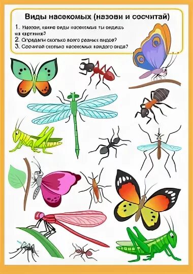 Календарное по теме насекомые. Насекомые задания для дошкольников. Задания по лексической теме насекомые. Задания по лексической теме насекомые для дошкольников. Тема недели насекомые.