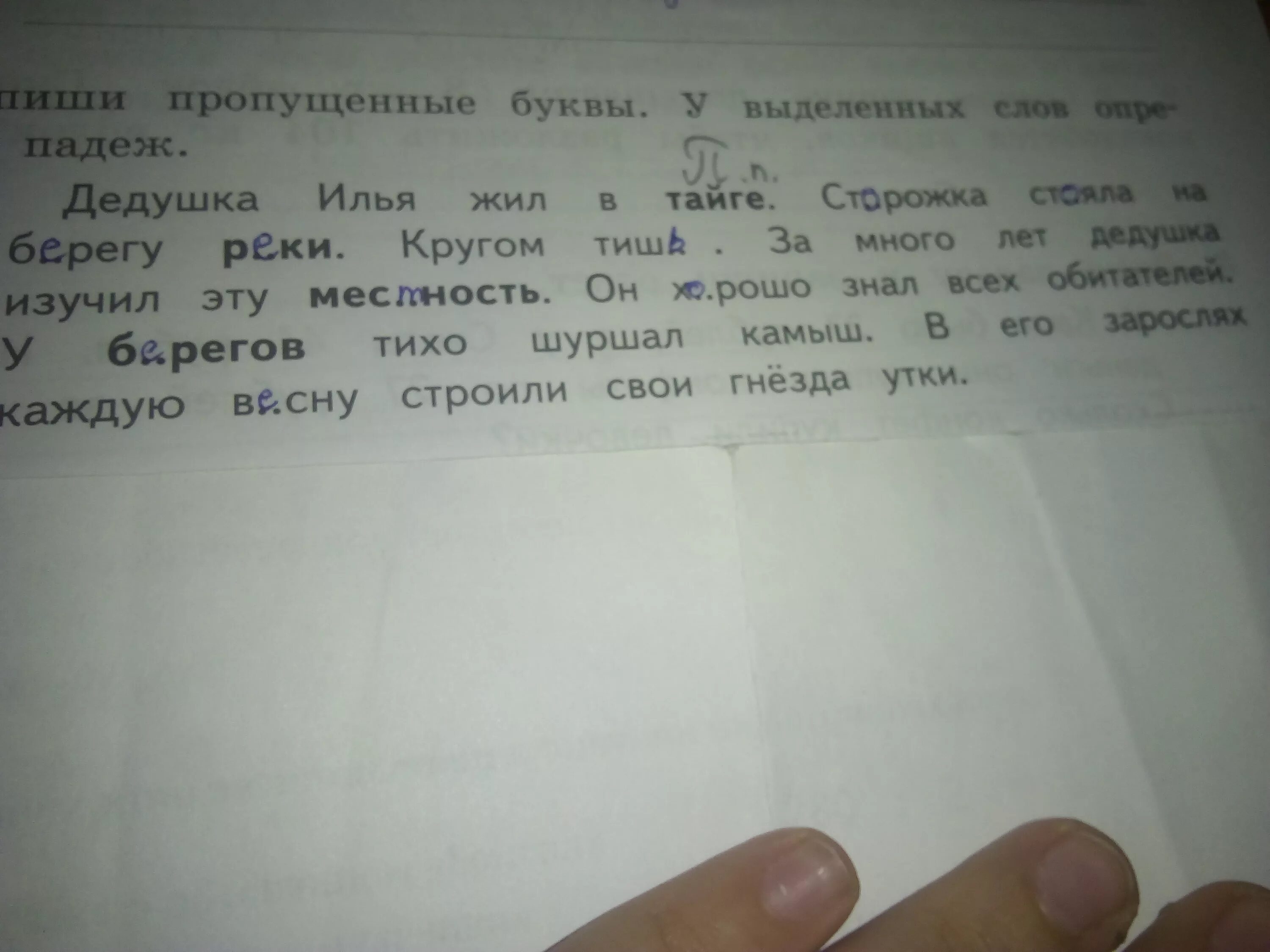 Падеж слова дедушке. В тайге падеж. Какой падеж у слова в тайге. В тайге определить падеж.