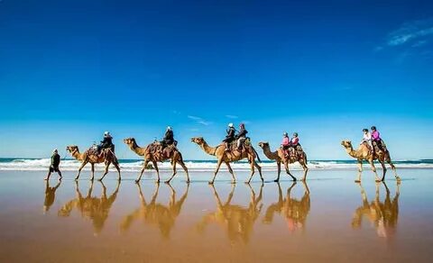 Local holidays