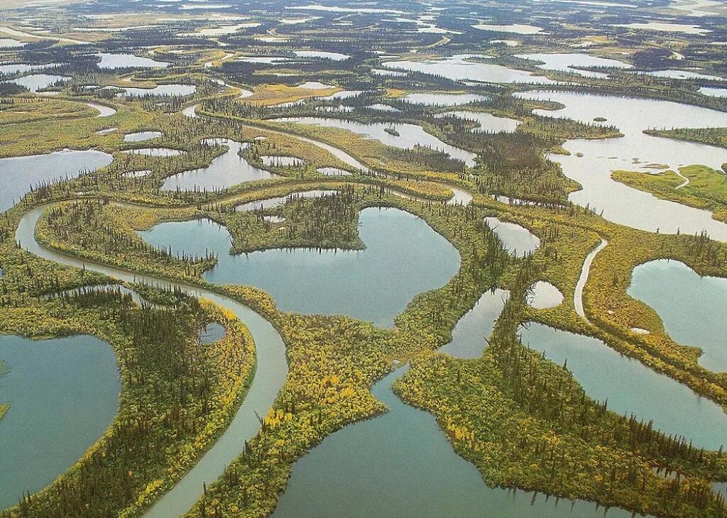 Река Маккензи Канада. Озеро Маккензи Северная Америка. Дельта Канада. Река ла Гранд Канада.