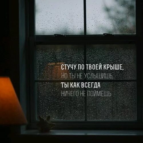 Фразы про дождь. Дождь цитаты из песен. Дождь цитаты красивые. Сезон дождей цитаты. Дождь цитаты красивые.