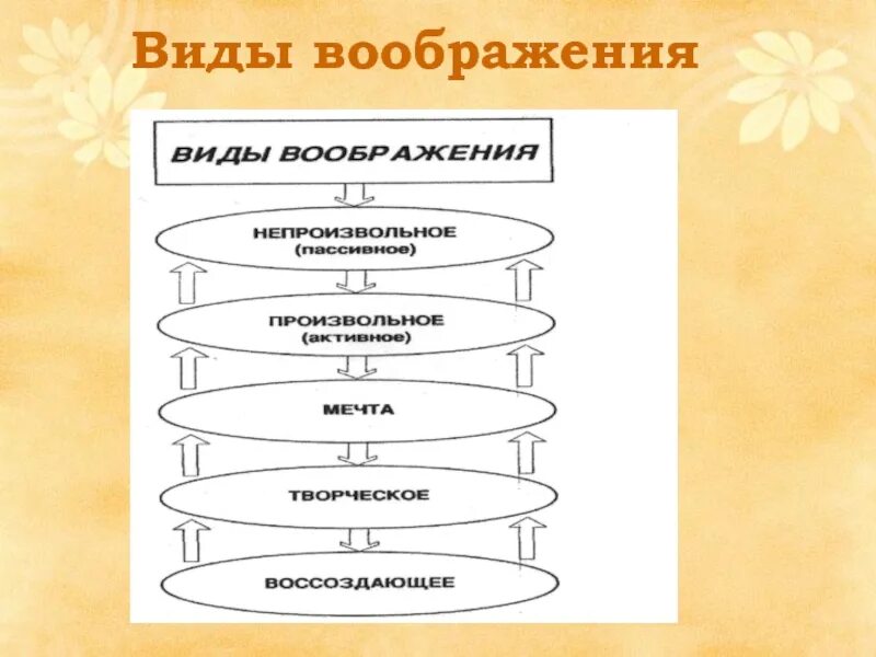 Виды воображения в дошкольном возрасте. Виды воображения у младших школьников. виды воображения у дошкольников. виды развития воображения младшего школьника. этапы развития воображения у младших школьников.